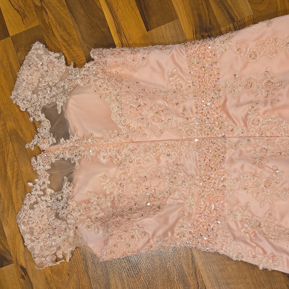 Elegant Pink Lace Dress Gown With Beads And Sequins